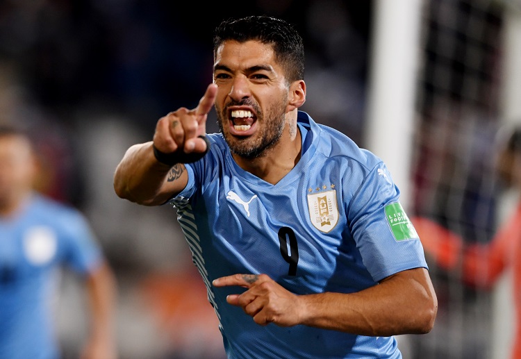 Vòng loại World Cup: Kém Argentina 3 điểm, Uruguay vẫn có 1 suất trong top 4 lúc này.