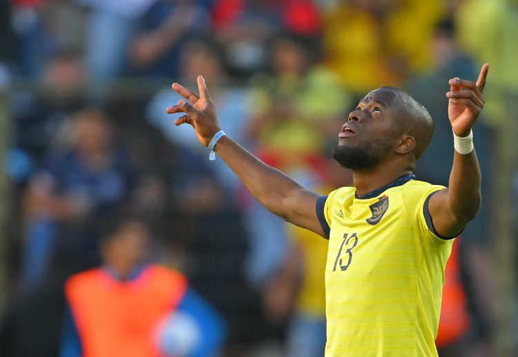 世界杯预选赛  已经提前晋级的厄瓜多尔将可能派出轮换阵容应战。