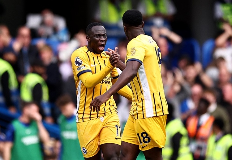 Danny Welbeck will try to lead Brighton & Hove Albion in upcoming Premier League clash against Newcastle United