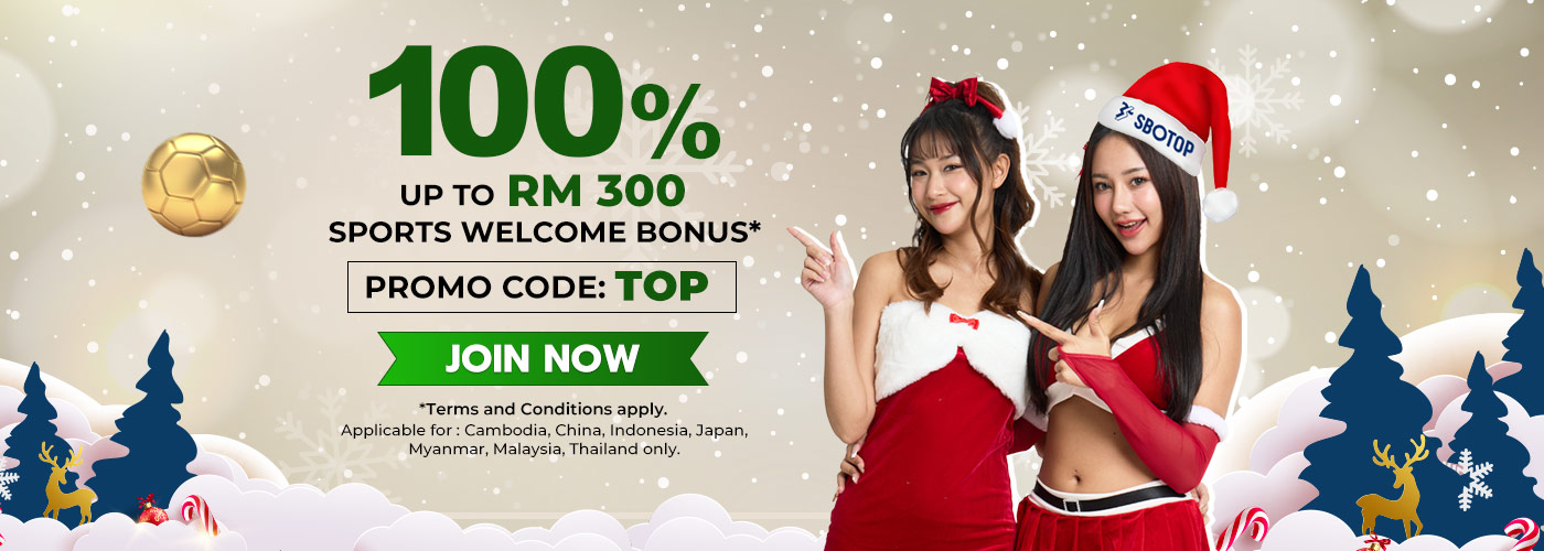 Promotion Xmas Dec 2025 – EN