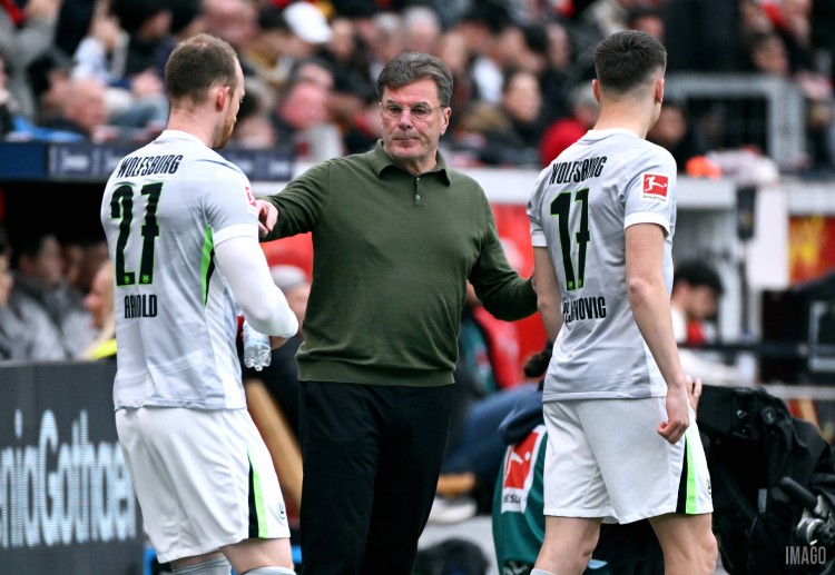 VfL Wolfsburg, led by Dieter Hecking, are currently in the Bundesliga relegation zone