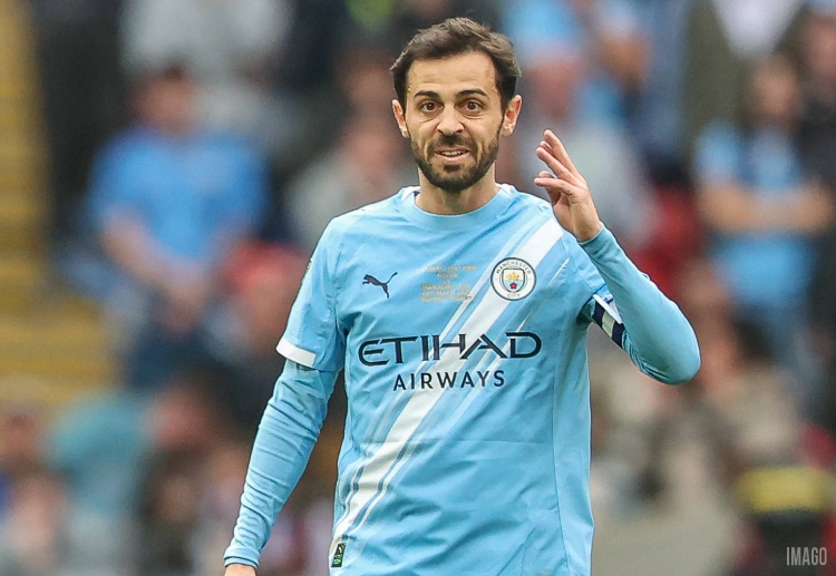 ဆေးလ်ဗားဟာ မန်စီးတီးနဲ့ အတူ (၉) နှစ်တာ အတွင်း ပရီးမီးယားလိဂ်နဲ့ ချန်ပီယံလိဂ် အပါအဝင် အဓိက ဆုဖလား ၁၅ လုံး အထိ ဆွတ်ခူးနိုင်ခဲ့ပါတယ်။